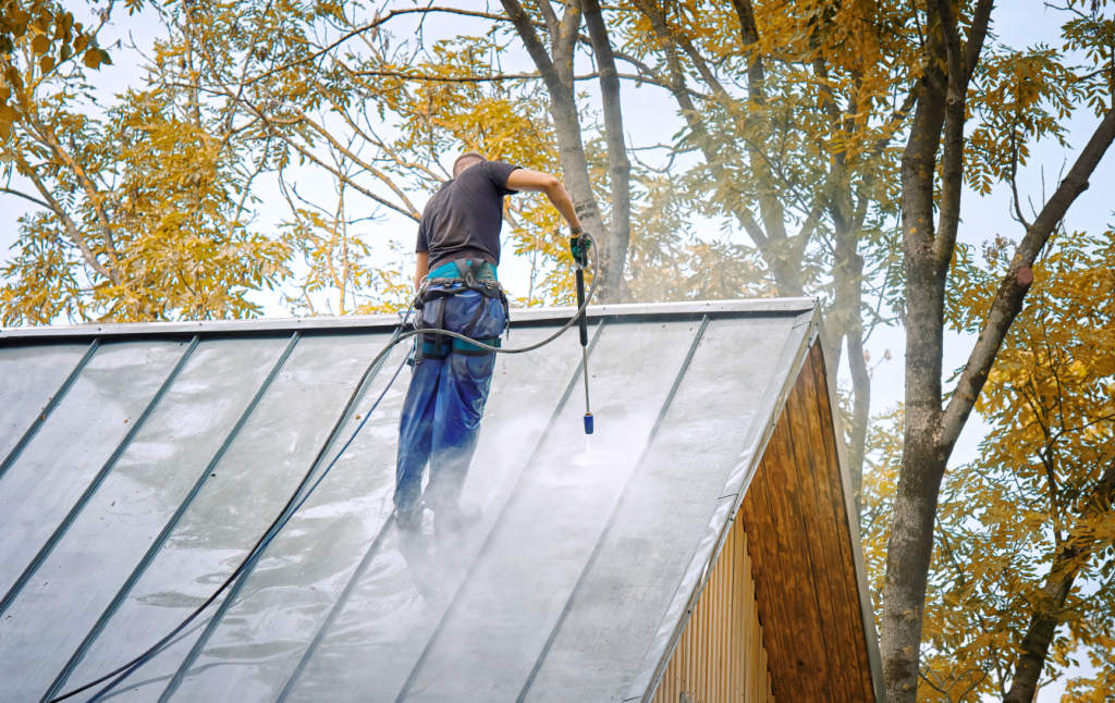 best_roof_pressure_washing_services